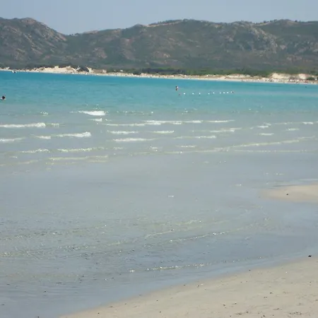 Su Navru 이르골리