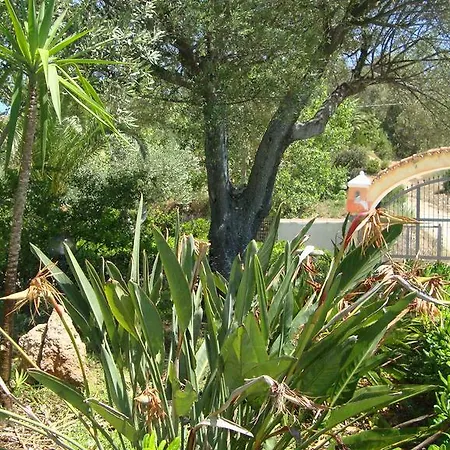 בית נופש Su Navru