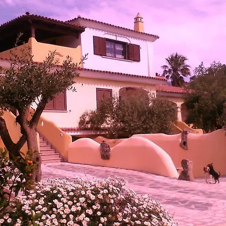 Su Navru 이르골리