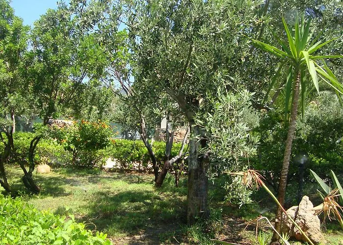 度假居 Su Navru Irgoli